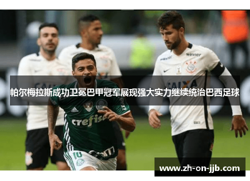 帕尔梅拉斯成功卫冕巴甲冠军展现强大实力继续统治巴西足球 帕尔梅拉斯成功卫冕巴甲冠军展现强大实力继续统治巴西足球